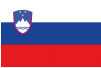 Slovenia flag